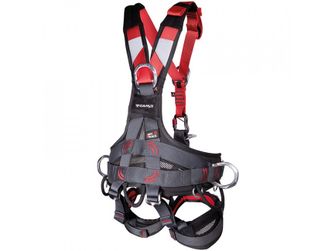 CAMP Harness Golden Top Evo Alu