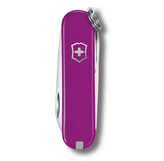 Nóż wielofunkcyjny Victorinox Classic SD Colors Tasty Grape, ciemnofioletowy, 7 funkcji, blistry