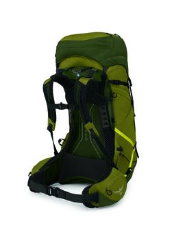 Plecak turystyczny OSPREY ATMOS AG LT 50,  scenic valley/green peppercorn