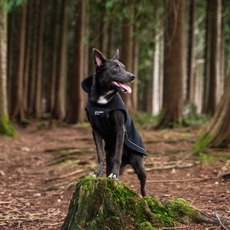 Peleryna Mountain Paws dla psa średnia