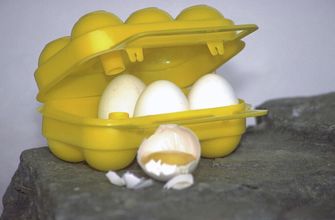 Coghlans CL Pojemnik na jajka 6 jajek