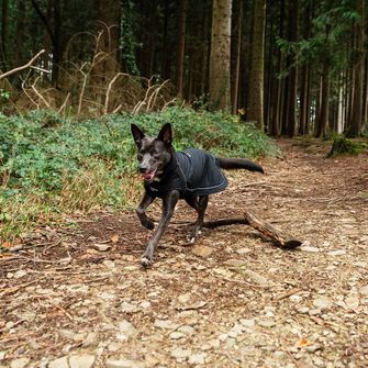 Mountain Paws Peleryna dla psa duża